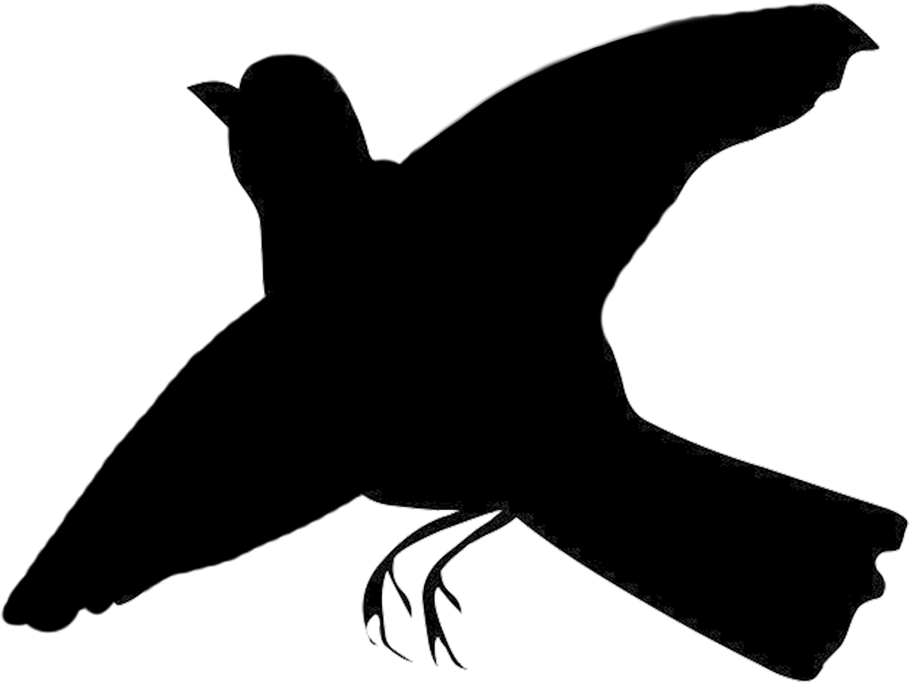 Brds Clipart Rook - Transparent Flying Black Bird (1344x1200), Png Download