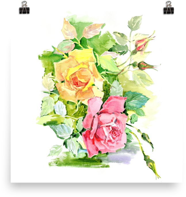 Bright And Floral Rose Watercolour Print Matte Poster - Watercolor Painting (1000x1000), Png Download