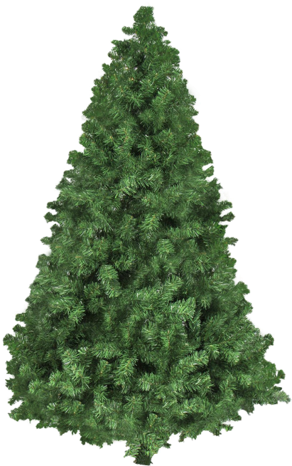 Christmas Tree Png Transparent Image - Real Christmas Tree Vector (500x707), Png Download