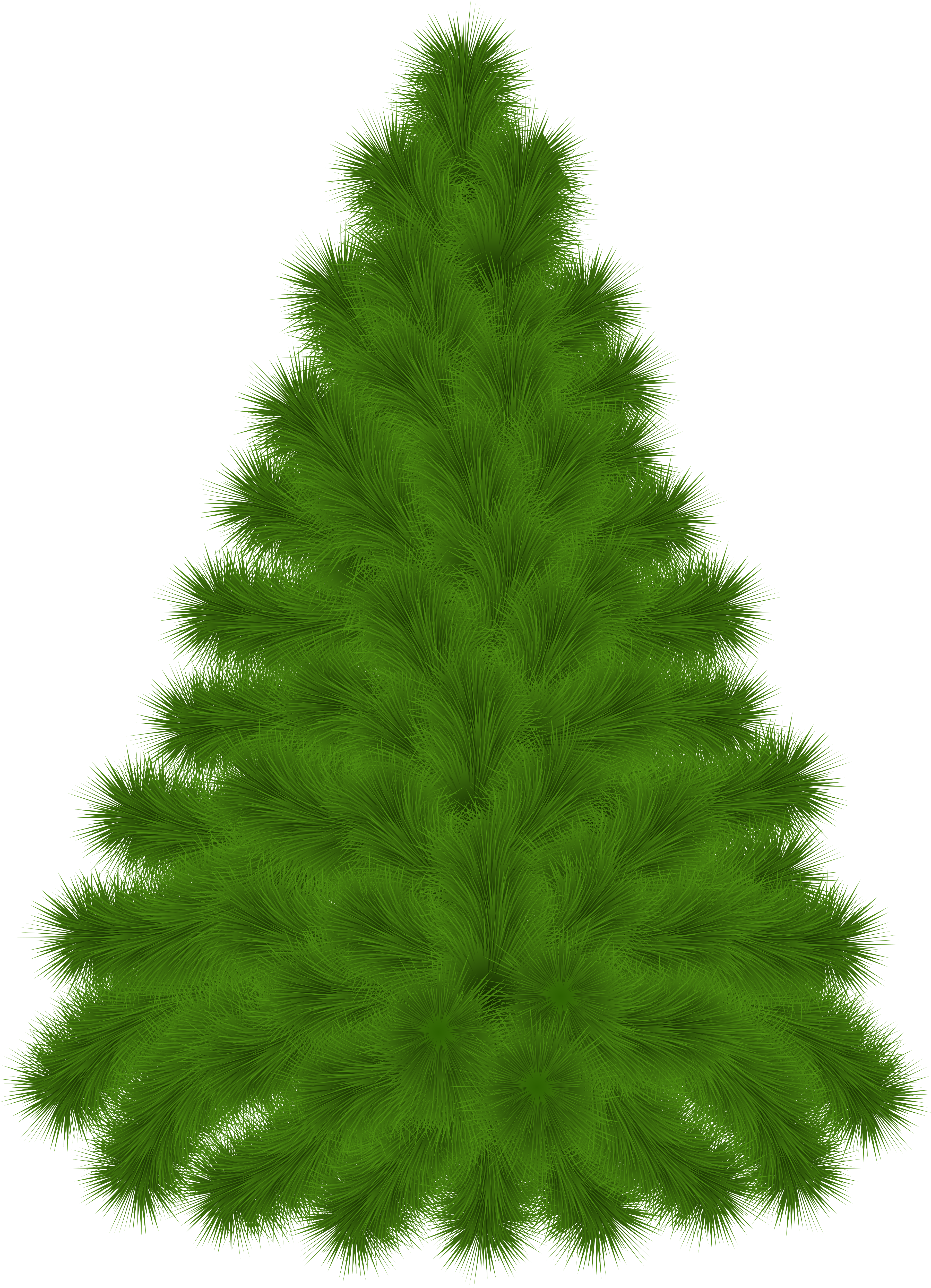Cypress Tree Png (3727x5000), Png Download