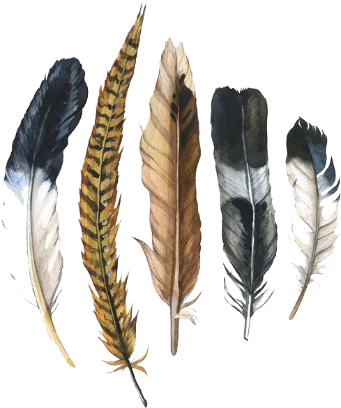 Feather Drawing Png - Watercolour High Quality Feather Drawing (658x658), Png Download