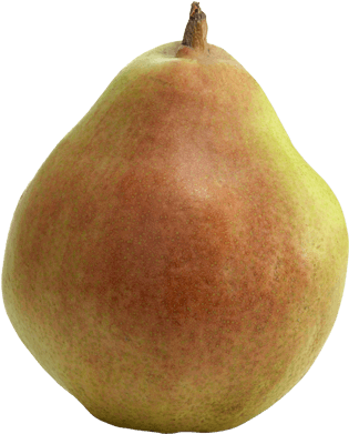 Download Pre-approved Copy Points From Usa Pears Focused - Comice Pear (490x450), Png Download