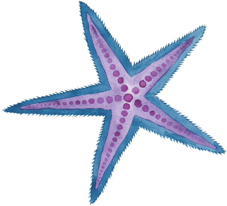 Two Color Hand Painted Starfish Cartoon Watercolor - Purple Sea Star Watercolor (1024x1024), Png Download