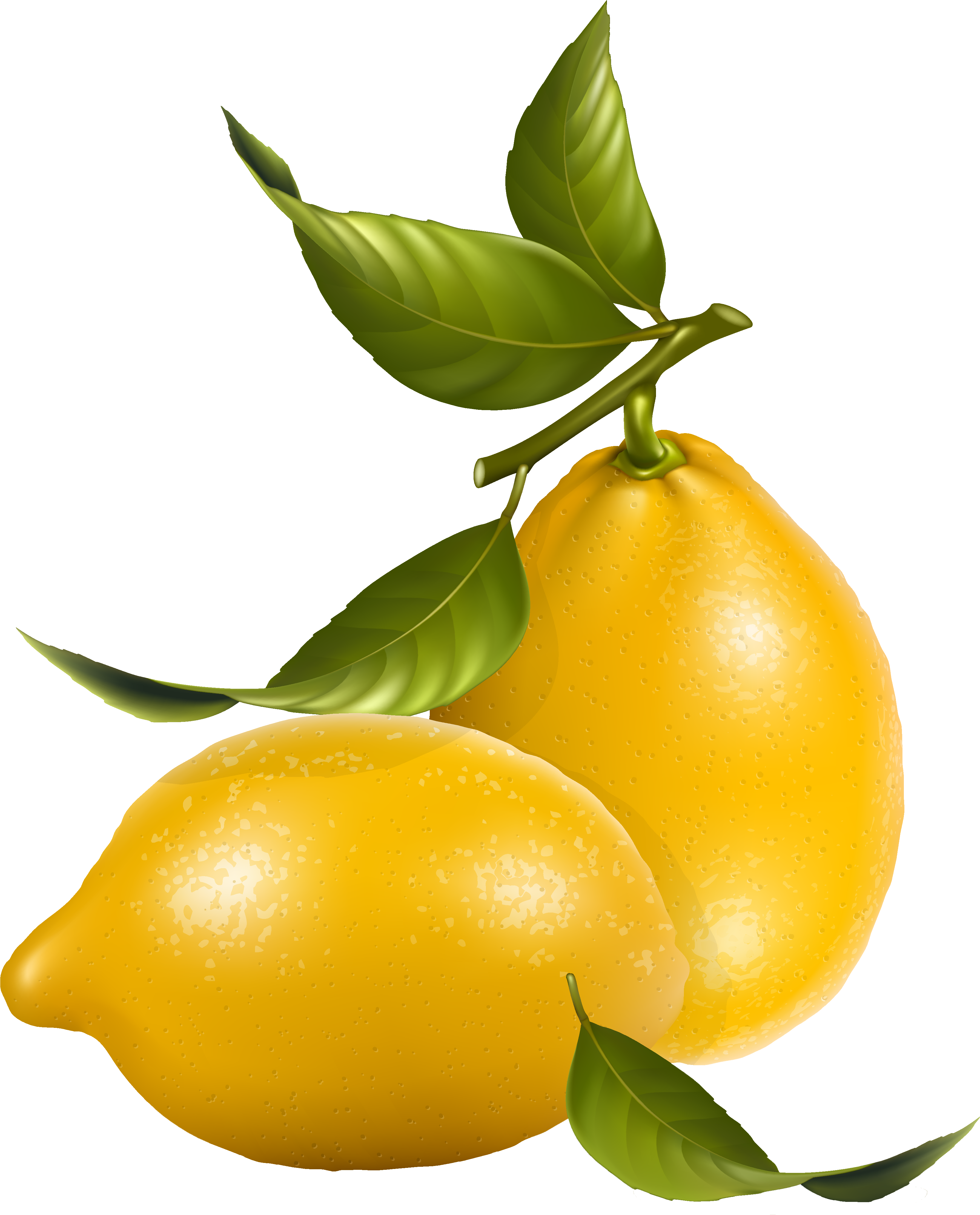 0 Af2ef 5f193004 Orig - Lemon Juice Png (3578x4494), Png Download
