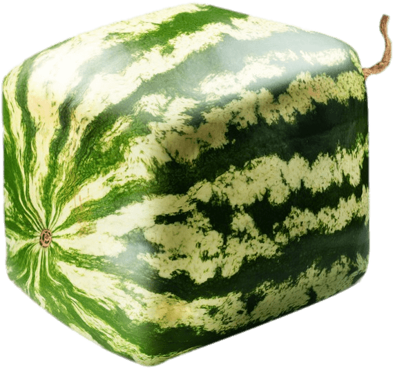 Square Watermelon - Rare Geometric Square Watermelons Seeds (650x619), Png Download