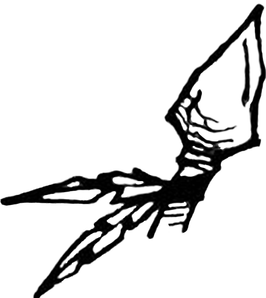 Clip Black And White Arrowhead Clipart Heart Shaped - Head Of An Arrow Drawing (1000x1000), Png Download