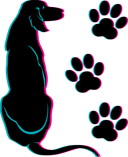Head To Paws Mobile Dog Grooming Is A Mobile Dog Grooming - Transparent Puppy Paws (502x614), Png Download