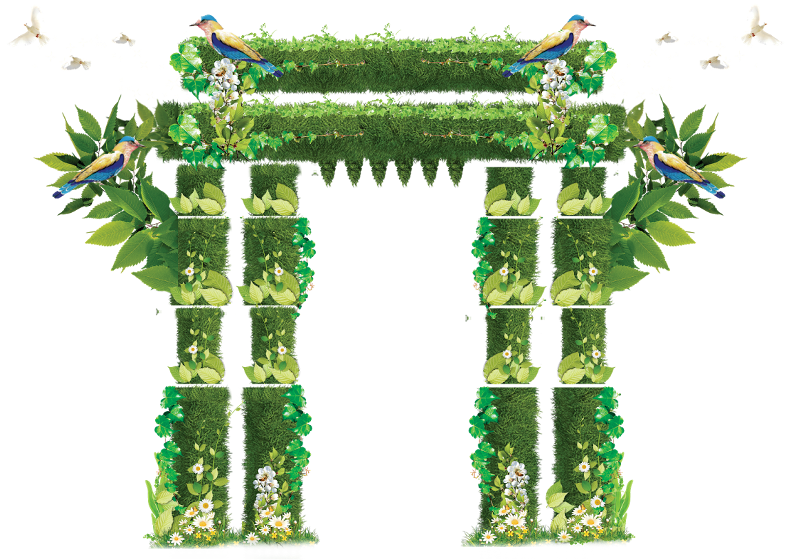 Thoranam Images Transparent - Haritha Haram In Telugu (1600x1066), Png Download