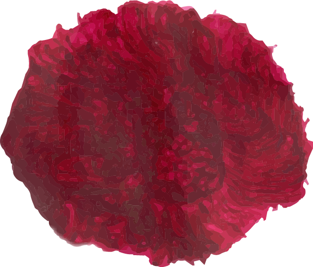 Red Watercolour Watercolor Brush Brushstroke Stain - Watercolor Painting (634x541), Png Download