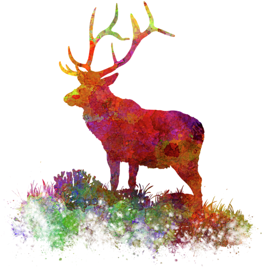 Bleed Area May Not Be Visible - Watercolor Painting (600x690), Png Download