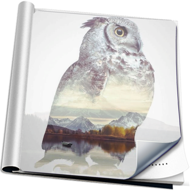 Accordion Fold Transition On The Mac App Store - Double Exposure Owl Tattoo (630x630), Png Download