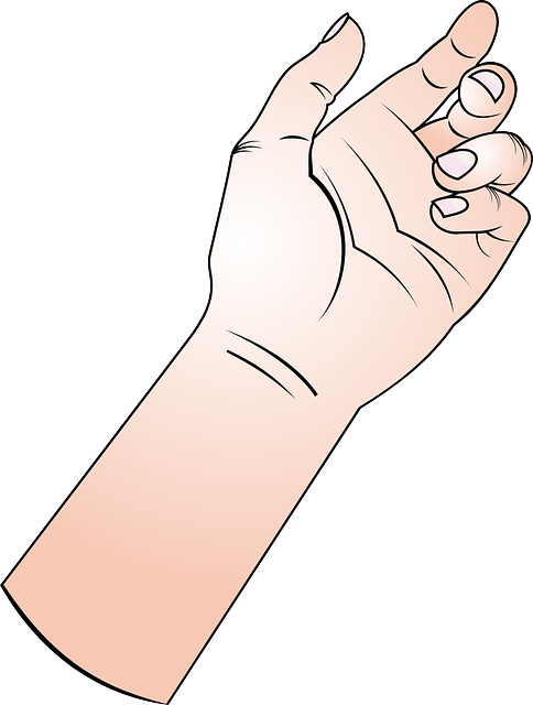 Finger Point, Hand, Figure, Cartoon, Thumb, Nail, Finger - Cartoon Forearm (484x640), Png Download