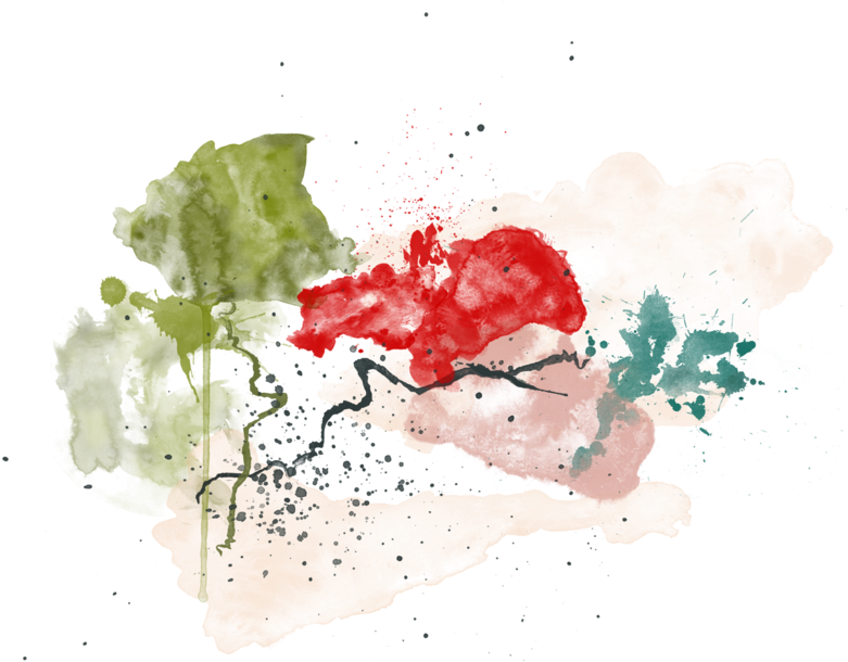 Watercolor - Watercolor Painting (800x800), Png Download