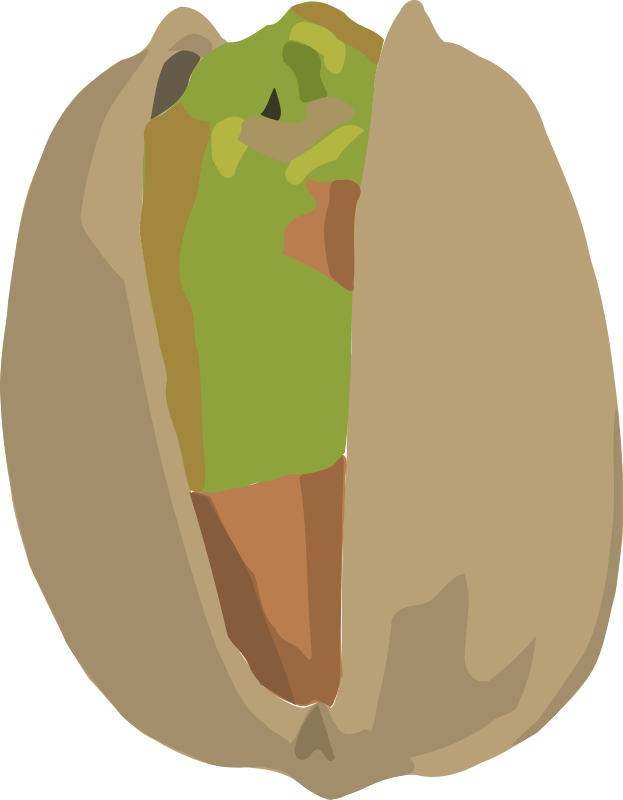 Free Vector Pistachio - Pistachio Clipart (623x800), Png Download