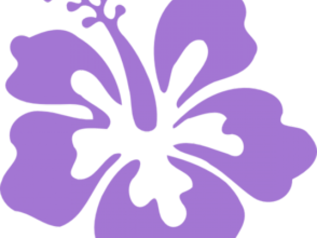 Black And White Hibiscus Flower (640x480), Png Download