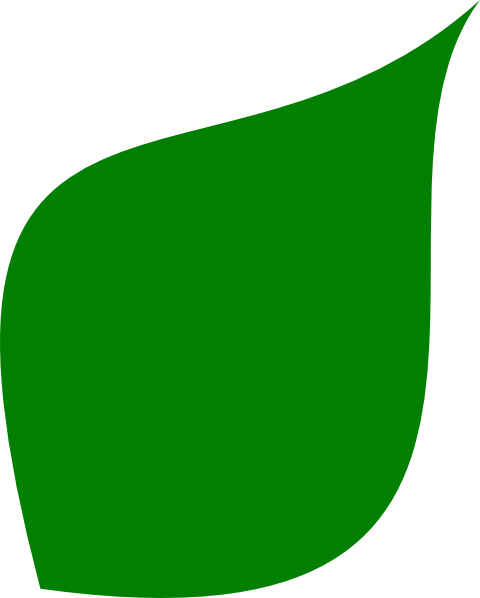 Leaves Clipart Different Shape Leaves - Leaf Shape Clip Art (480x598), Png Download