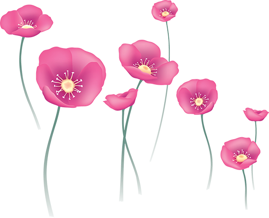 Tubes Fleurs - Field Flower Watercolor Transparent (550x445), Png Download