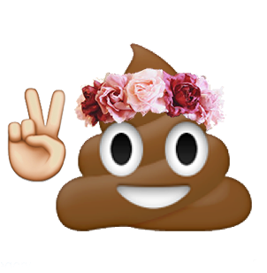 Poop Emoji With Flower Crown (355x355), Png Download