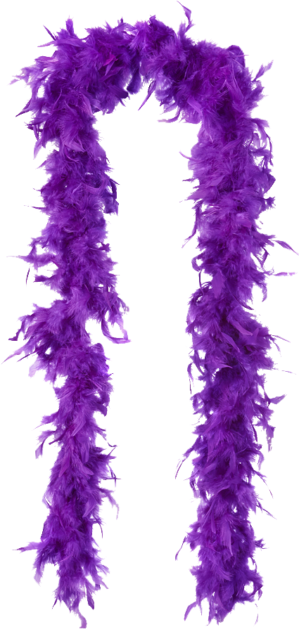 Feather Boa - Transparent Feather Boa Png (462x917), Png Download