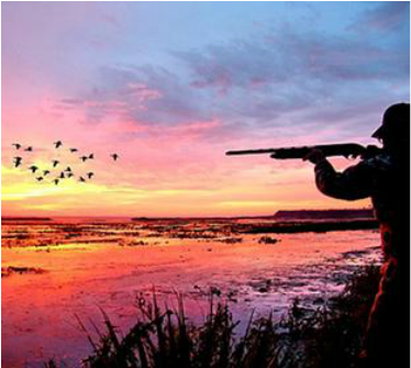 There Is Nothing Quite Like A Beautiful Sunrise While - Duck Hunting (496x347), Png Download