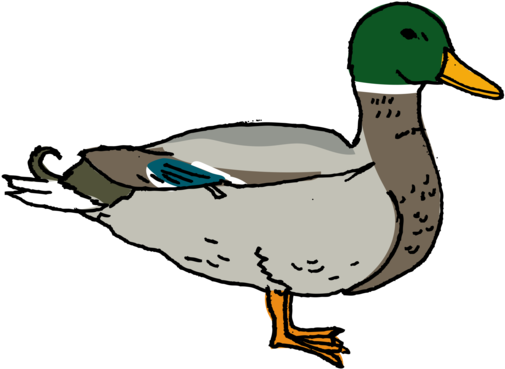 Mallard - Tattly Temporary Tattoos / Farm Animal Set (690x690), Png Download