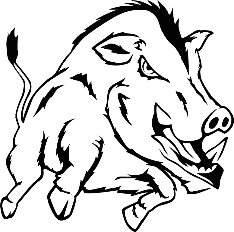 Hunting In Bulgaria - Wild Boar Black And White (960x769), Png Download