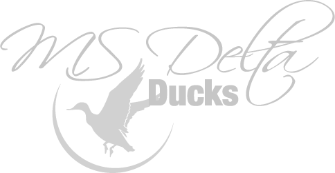 Multiple Options To Fit Your Duck Hunting Needs - Ms Delta Ducks (484x251), Png Download
