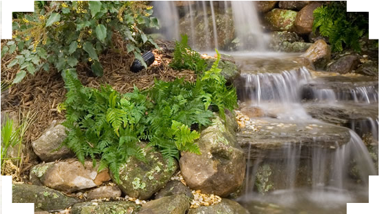 Welcome To Live Oak Landscape Services Inc - Laguna Max Flo 2200 Waterfall & Filter Pump (584x337), Png Download