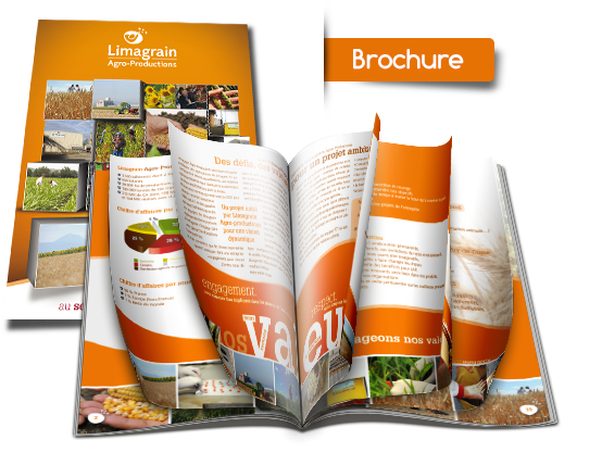 Brochures Are A Popular Format For Sharing Detailed - Brochures Png (600x450), Png Download