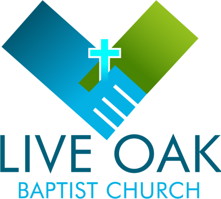 Didnt Plan On Becoming A Preachy Vegan (747x685), Png Download