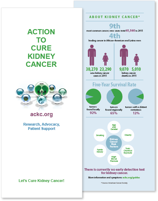 Ackc Brochure For Website Mockup 619px - Action To Cure Kidney Cancer (619x656), Png Download