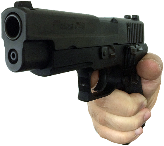 Pistol Permit Instructor's Portal - Firearm (600x542), Png Download