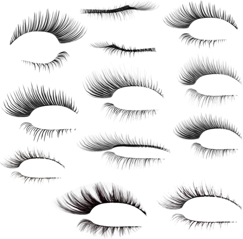 Clipart, Png, And Transparent Image - Pestañas Postizas Para Photoshop (500x491), Png Download