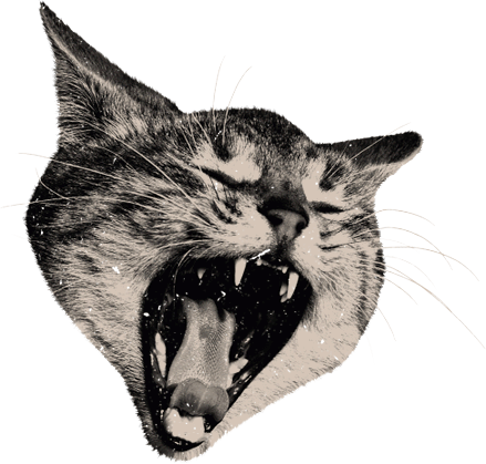 Tumblr Static D8 - Голова Кошки Пнг (439x419), Png Download