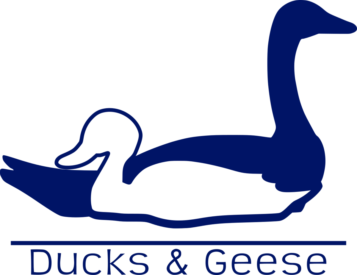 Goose (1200x924), Png Download