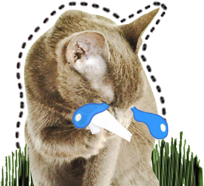 Get The Cat Emoji App Now - Cat (408x408), Png Download