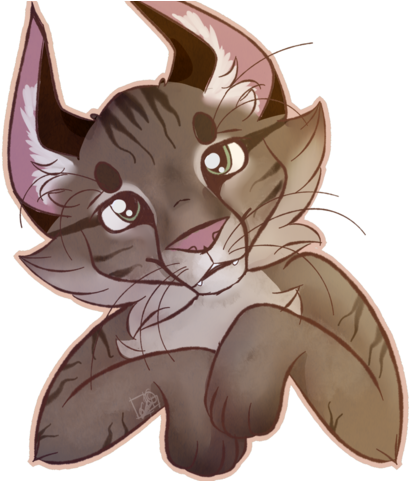 Cat - Cat2 - Category 2 Cable (480x480), Png Download