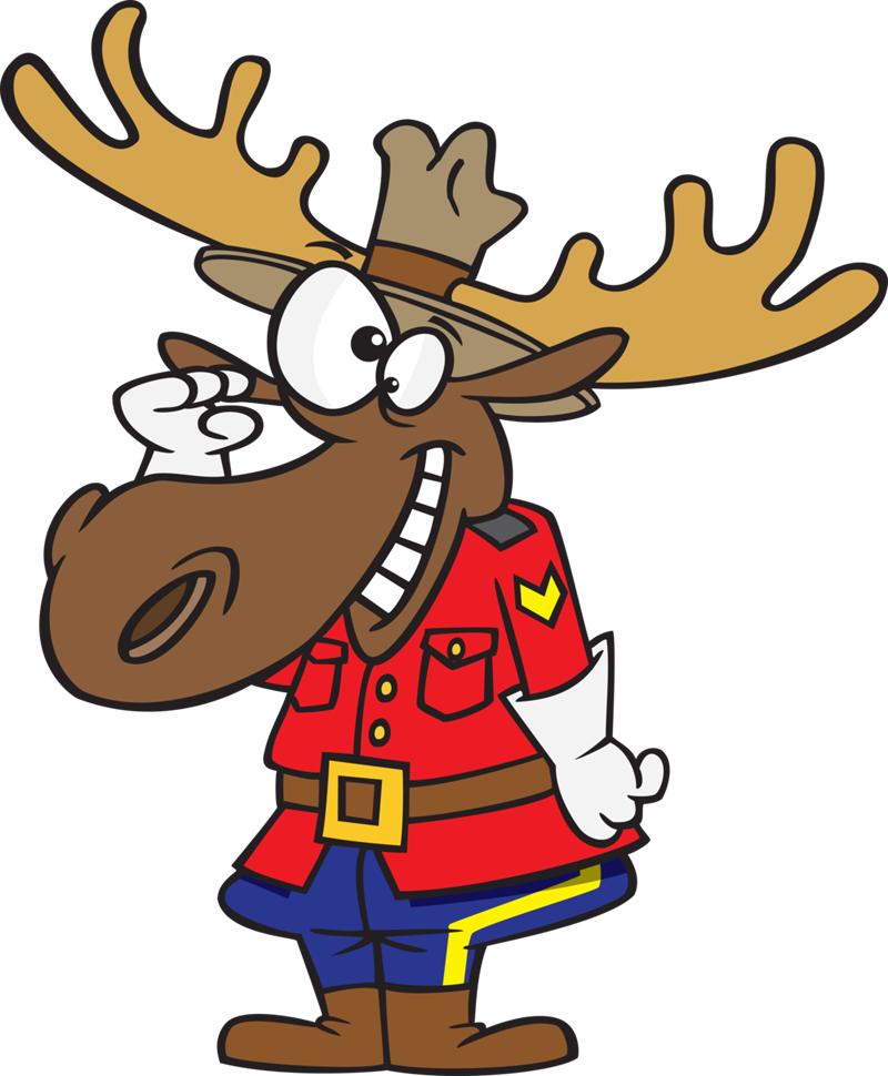 Moose Clipart Crazy - Canadian Moose Clipart (800x970), Png Download
