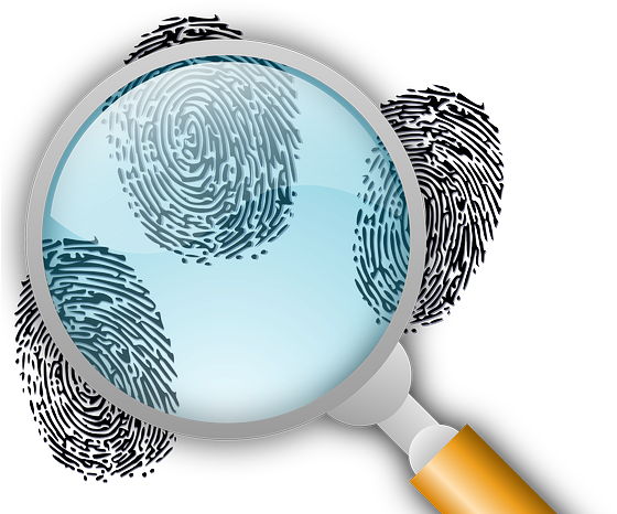Fingerprints And A Magnifying Glass (600x465), Png Download