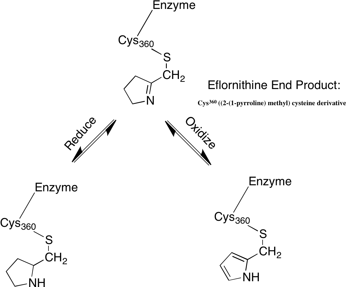 End2end testing. End product.