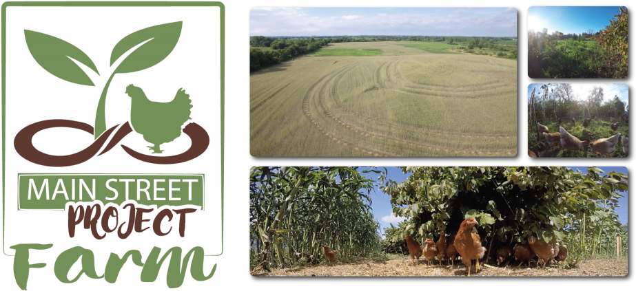 Main Street Project Farm Poultry Regenerative - Agriculture (1024x427), Png Download