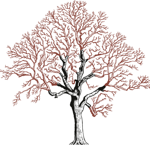 Or The Introduction Of New A Framework In The Scaffold - London (480x466), Png Download