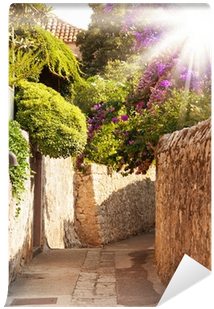 Mediterranean Street With Flowers And Trees Wall Mural - Yard (400x400), Png Download