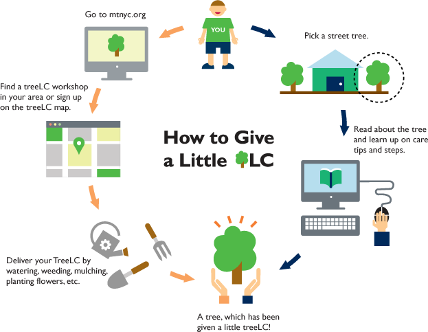 How To Treelc - Learnup, Inc. (623x483), Png Download