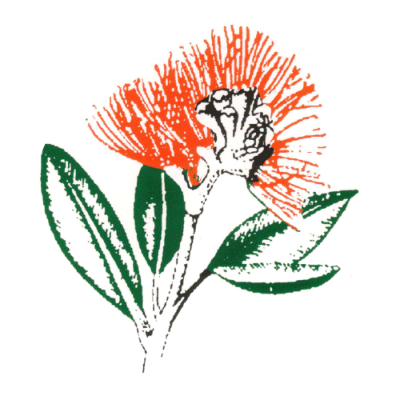 Rata Street School (400x400), Png Download