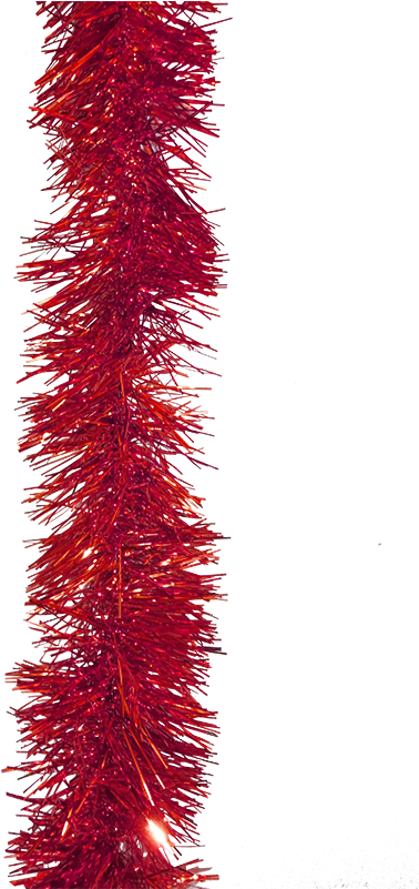 Tree (800x800), Png Download