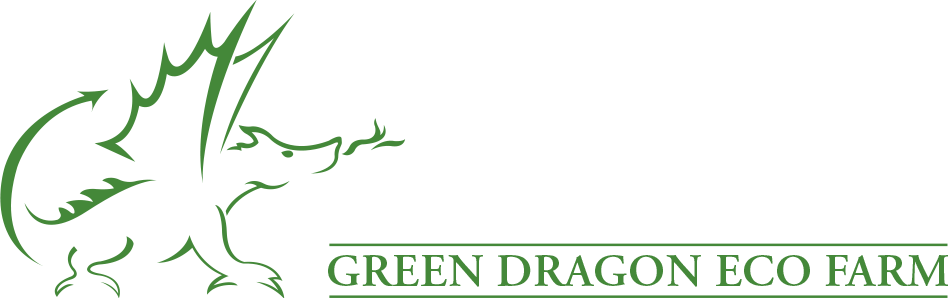 Green Dragon Corporate Space Logo - Green Dragon Eco Farm (948x298), Png Download
