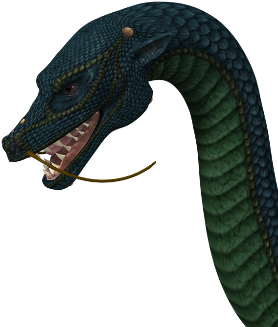 Green Dragon - Serpent Tete De Dragon (617x720), Png Download