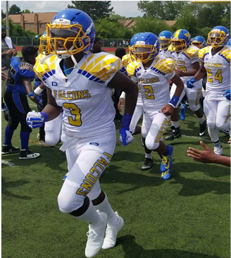 That Sweet Blue & Gold - Sprint Football (960x365), Png Download