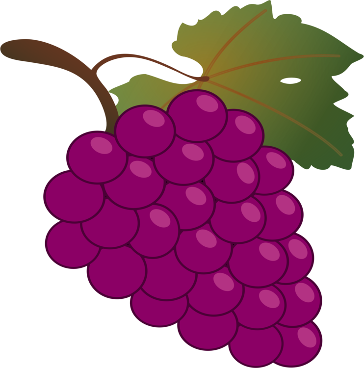 Grape Kyoho Wine Harvest Vine Free Commercial Clipart - Grapes Clipart (742x750), Png Download